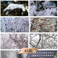 45款冬季下雪天树枝头积雪枯树冬天雪景视频素材