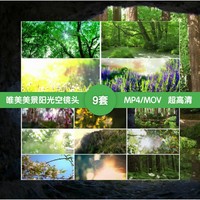 9套唯美小清新森林树叶阳光空镜头树林绿色清晨高清实拍视频素材