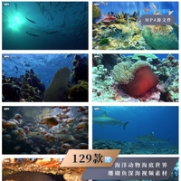 129款海洋动物海底世界珊瑚鱼深海视频素材